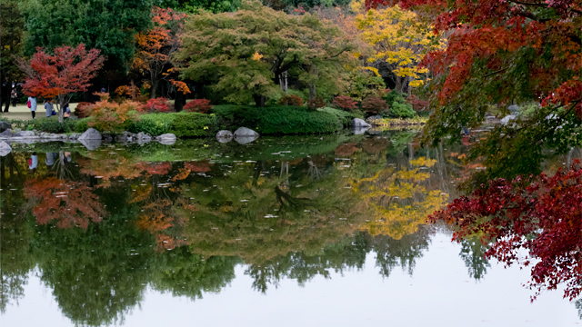 昭和記念公園 日本庭園 紅葉